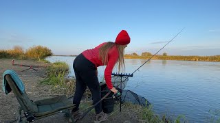 WEEK WILD ON THE RIVER! Crazy bite on the feeder!