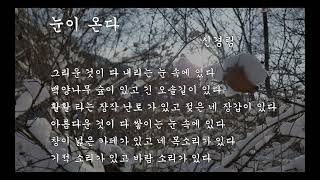 겨울시낭송4편 2025.1.14