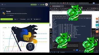 TryHackMe Pyrat: Python Exploit to Root - Server Takeover Challenge