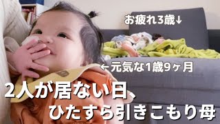 子2人が居ない日。【4pマイナス症候群】ピナちゃんデイへ、ちぇなちゃん幼稚園へ…。