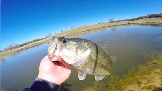 Pond Hopping at Gary Yamamoto's Fishing Ranch