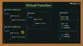 Virtual Function in C++ | C++ Tutorial for Beginners
