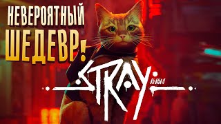 НЕВЕРОЯТНЫЙ ШЕДЕВР! - Stray #1