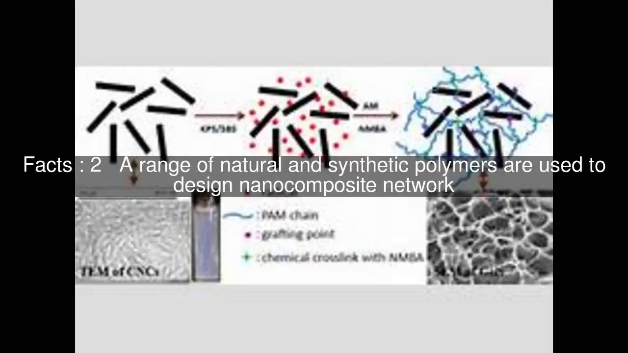 Nanocomposite Hydrogels Top 5 Facts Youtube