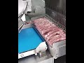 fengxiang industrial automatic frozen meat cutter ribs steak chicken bone sawing machine