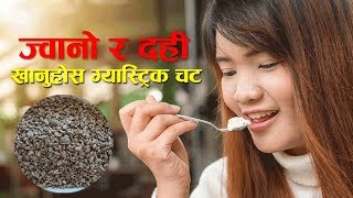 ज्वानो र दही खानुहोस ग्यास्ट्रिक चट ! | Health Benefits of Curd and Ajwain | Nepali Health Tips