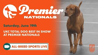 UKC Premier Nationals: Total Dog Best In Show