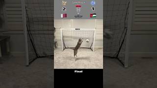 Cat Goalie - Qatar🇶🇦 Vs Jordan🇯🇴 | AFC Asian Cup 2023 Final #cat #goalie #fyp