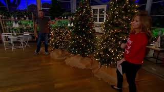 Bethlehem Lights Upswept Spruce Tree on QVC