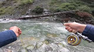 Kashmir Fly Fishing | Brown Trout Fishing