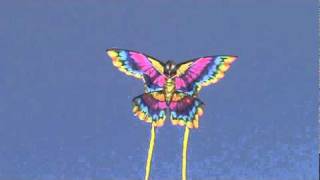 XKITES - Feature Nylon Fantasy Kite - Butterfly