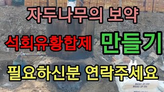 자두나무 보약/석회유황합제 만들기/모든 과수나무 보약