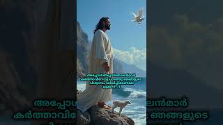 വിശ്വാസം വളരുവാനുള്ള പ്രാർത്ഥന #thankyoulordjesuschrist #jesuschrist #catholicchurch #bibleverse