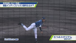 前期優勝へ向けて熱戦！徳島インディゴソックス【テレビトクシマ】