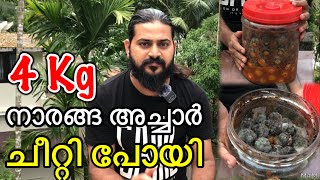 2ആഴ്ചക്ക്‌ ശേഷം ഇതാണ് അച്ചാറിന്റെ അവസ്ഥ😥 | എന്താണ് സംഭവിച്ചത് ഒരു പിടിയും കിട്ടുന്നില്ല🤔🤔😥