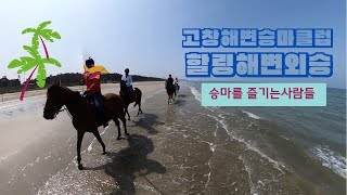 힐링해변외승 승마를 즐기는 사람들 22년04월24일 고창해변승마클럽 #horsebackriding #horseriding #healing