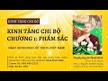 GIẢNG KINH TĂNG CHI BỘ | CHƯƠNG 1 - PHẨM SẮC | 28/09/2024 | SƯ THANH MINH