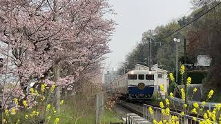 8232D キハ47形改二etSETOra(エトセトラ) 坂-矢野