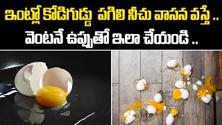 కోడిగుడ్డు  పగిలి నీచు వాసన వస్తే .. | How to get rid of egg smell | Kitchen Cleaning Tips |