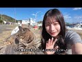 i visited japan cat island where there are more cats than people🐈