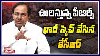 ఊరిస్తున్న పీఆర్సీ - భారీ స్కెచ్ వేసిన కేసీఆర్ | CM KCR Master Plan On PRC Announce | Tolivelugu TV