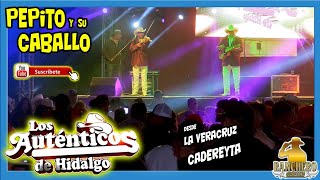 Trio Los Autenticos de Hidalgo - Pepito y su caballo Fernando Villeda
