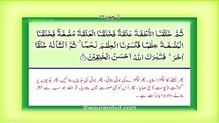 Para 18 Juz 18 - Qad aflaha HD Quran Urdu Hindi Translation