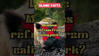 Why do Muslims refrain from eating pork। Islamic Facts in English 🕋❤️ #islamicstatus