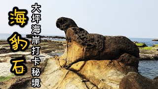 2020 海豹石—最夯八斗子大坪海岸打卡秘境海豹岩