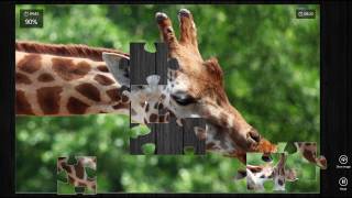 Giraffe jigsaw puzzle