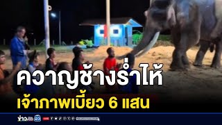 ควาญช้างไลฟ์ ร่ำไห้เจ้าภาพเบี้ยวค่าจ้าง 6 แสน | ชงข่าวอาทิตย์ | 1 ธ.ค.67