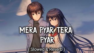 Mera Pyar Tera Pyar [Slowed+Reverb] - Arijit Singh | Musical Raptors