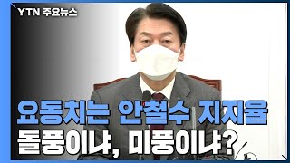 요동치는 安 지지율...'안철수' 돌풍이냐, 미풍이냐? / YTN