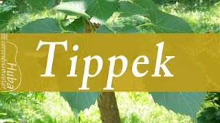 Vácrátóti esküvő tippek #2: Szálkás természetűek