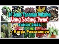 10 Jenis Sukulen Yang Lagi Trend di Tahun 2021 Dan Harga Pasarannya