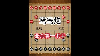 鸳鸯炮业余第一杀手 #象棋 #中国象棋 #象棋布局