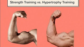 HOW DO MUSCLES RESPOND TO EXERCISE? వ్యాయామానికి కండరాలు ఎలా స్పందిస్తాయి?