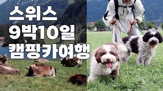 🇨🇭#1 스위스 캠핑카 여행 /중형견 스위스항공 규정 / 강아지 동반여행 / 스위스