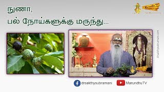 நுணா, பல் நோய்களுக்கு மருந்து | Nuna (Morinda citrifolia) - Oral Hygienic