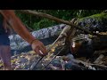 masak ikan di tepi sungai sambil menikmati indahnya alam semulajadi#ikan#sungai#borneo#sarawak