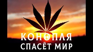 СВЕРШИЛОСЬ. Мы спасём лес. Предсказание Мольфара.