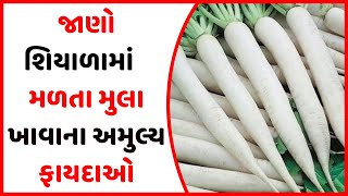 મૂળા ખાવાના અમૂલ્ય ફાયદા- Benefits of Radish- मूली के फायदे- Mula na fayda- Mooli ke fayde