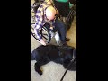 newfoundland at a nursing home