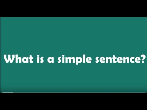 What is a simple sentence example?