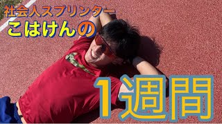 フルタイム陸上選手こはけんの1週間‼︎試合2週間前は過酷を極める【100m】【陸上】