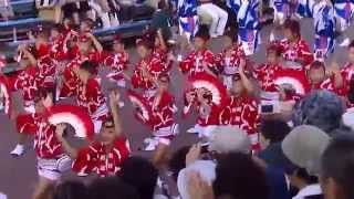 日本の祭り 阿波踊り！総踊り（女性も子供も大迫力阿波扇2014）　　Women and children also great power Awa dance