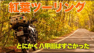 紅葉ツーリング 八甲田 とにかくすごい！一度は走りに行くべきだと思った、