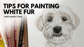 How to Paint Realistic White Fur in Watercolor | with Jamie Clark