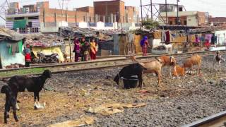 Study Abroad in Bhopal, India: A Student’s Story