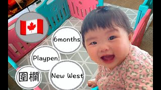 Vlog7 新手媽媽 | 開箱圍欄 | 六個月 | New West Sightseeing | New mom |  Unbox baby playpen|6 months| Canadalife